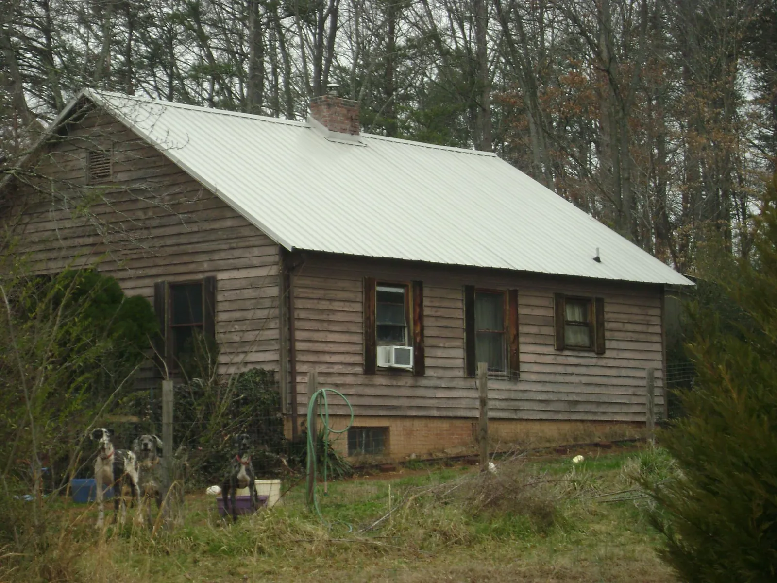 White metal roof on an old wood sided farmhouse, from a Asphalt Shingle Roof Repair job in Laingsburg